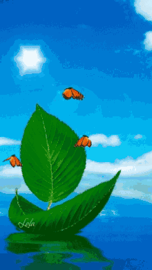 Amazing Butterfly GIF - Amazing Butterfly Leaf GIFs