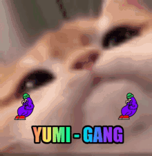 yumi gang eggplant emoji cat kitty