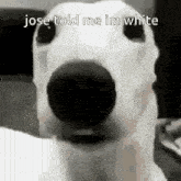 jose told me im white jose told me im white