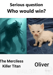 a picture of a monster and a picture of a kitten with serious question who would win