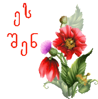Ninisjgufi ყვავილი Sticker
