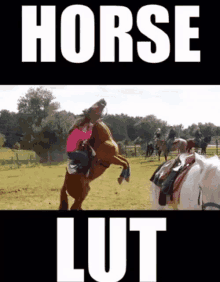 Horse Lut Horse GIF - Horse Lut Horse Slut GIFs