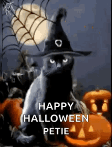Halloween Blackcats GIF - Halloween Blackcats Pumpkin GIFs