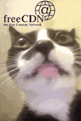 a black and white cat is looking up at the free cdn logo