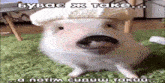 a pig wearing a hat is sitting on a green rug .