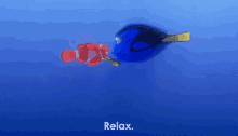 Relax Nemo GIF