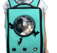 Cat Carrier The Pet Collective GIF