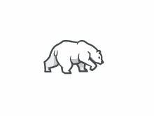 Polar Bear Walk GIF - Polar Bear Walk Animated GIFs