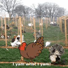 Thanksgiving Memes GIF - Thanksgiving Memes Turkey GIFs