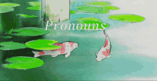 Pronoun Roles GIF - Pronoun Roles GIFs
