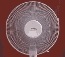 electric fan wind turn hot fan