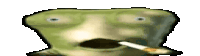 a frog is smoking a cigarette in a pixel art .