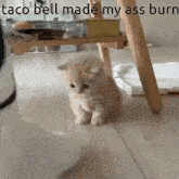 Taco Bell GIF - Taco Bell Taco Bell GIFs