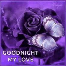 Goodnight Purple GIF - Goodnight Purple My Love GIFs