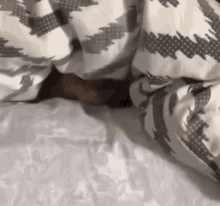 Cat Cats Of The Internet GIF - Cat Cats Of The Internet Cute Cat GIFs