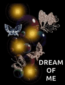 Sweet Dreams Dream Of Me GIF - Sweet Dreams Dream Of Me Butterfly GIFs
