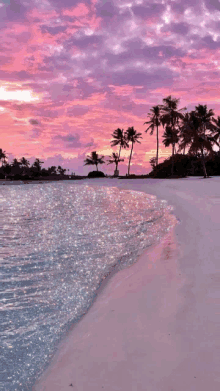 glitter glue beach glitter sunset palm trees sky