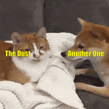 Another One Another One Bites The Dust GIF