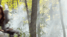 a woman is walking through a foggy forest with trees and leaves in the background