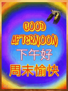Good Afternoon Bird Flying GIF - Good Afternoon Bird Flying Have A Nice Weekend GIFs