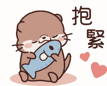 otter hug fish love cute