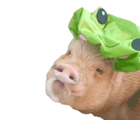 Piglet Pig With A Shower Cap Sticker - Piglet Pig With A Shower Cap Cute Pig Stickers