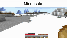 Minecraft Minnesota GIF - Minecraft Minnesota GIFs