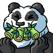 giantpanda panda pandaoeat eat eating