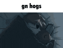 Gnhogs Hoghog GIF - Gnhogs Hoghog Hoghogfandom GIFs