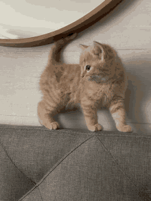 George Curious GIF