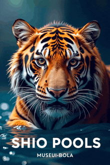 a poster with a tiger and the words shio pools museum-bola