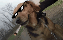 Dog Thug GIF