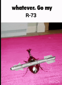 a picture of a beetle with a missile on it and the words whatever go my r-73