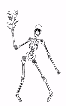 skull skeleton