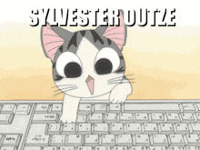 Sylvester Outze Sylle GIF - Sylvester Outze Sylvester Sylle GIFs