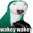 Wakey Wakey Sticker - Wakey Wakey Stickers