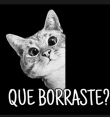 a black and white photo of a cat peeking over a sign that says que borraste