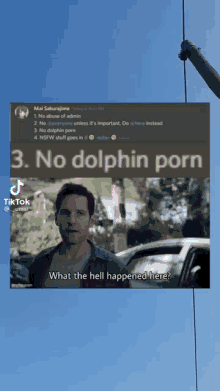 Dophin Porn GIF - Dophin Porn GIFs