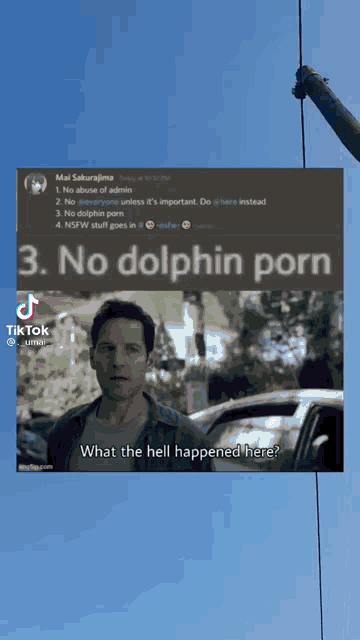 360px x 640px - Dophin Porn GIF - Dophin Porn - Discover & Share GIFs