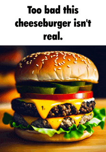 a cheeseburger with the words too bad this cheeseburger isn 't real below it