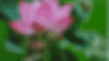 သာဓုသာဓုသာဓုsadu Sadu Sadu Text GIF - သာဓုသာဓုသာဓုsadu Sadu Sadu Text Flower GIFs