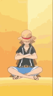 One Piece GIF
