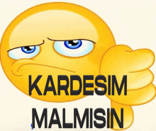 a yellow smiley face giving a thumbs down with the words kardesim malmisin below it