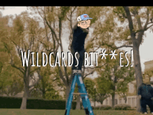 Wildcards Cardano GIF - Wildcards Cardano Cnft GIFs
