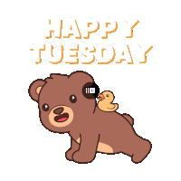 a teddy bear with a rubber duck on its back and the words happy tuesday behind it