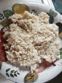 foodie veggies snack meal rice