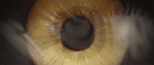 a close up of a human eye with a dark background