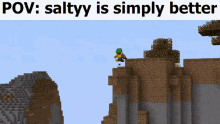 Saltyyofficial Minecraft GIF - Saltyyofficial Minecraft Dream GIFs