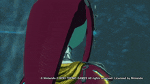 a screenshot of a video game by nintendo and koei tecmo games