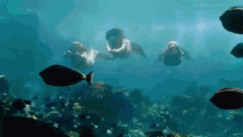 Mako Mermaids GIF - Mako Mermaids Swimming GIFs